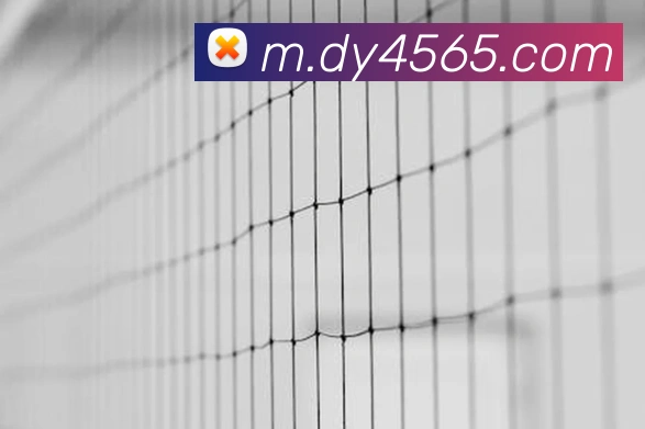 东赢体育官网全站App